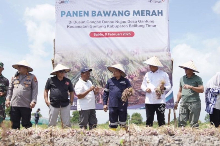 Penurunan Nilai Tukar Petani di Februari 2025: Dampak dan Implikasi