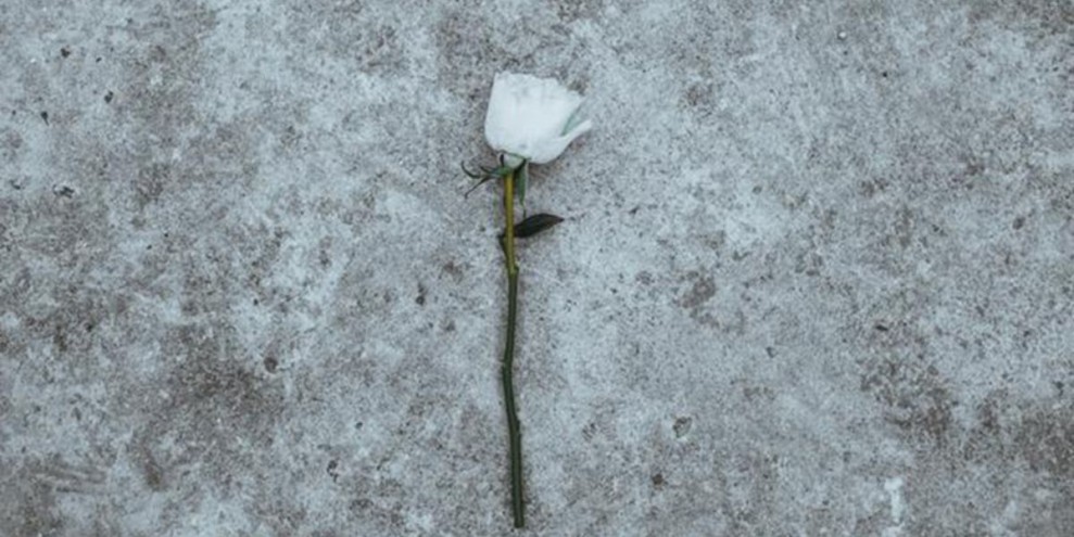 Pengertian dan Makna, Serta 35 Contoh Ucapan 1000 Hari Orang Meninggal