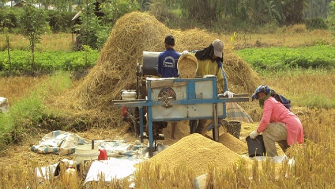 Perlindungan Lahan dan Petani Jaga Ketahanan Pangan