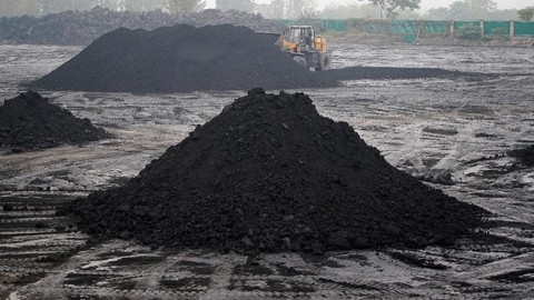 Harga Batu Bara Anjlok 4%: Meningkatnya Energi Terbarukan Jadi Biang Keladi