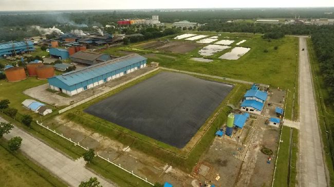 PLTBg Sei Mangkei Ciptakan Listrik Hijau dan Kredit Karbon, Langkah Nyata Menuju Net Zero