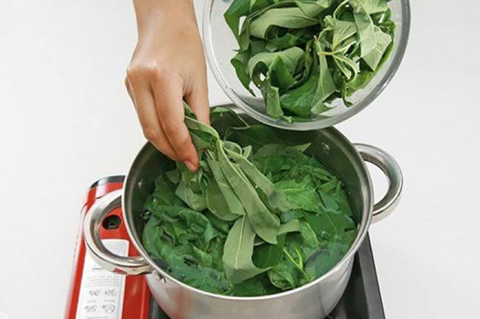 Cara Mengolah Daun Singkong Aman dan Sehat untuk di Konsumsi