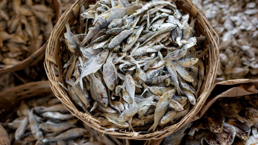 Trik Mudah Kurangi Rasa Asin Ikan Asin Sebelum Dimasak