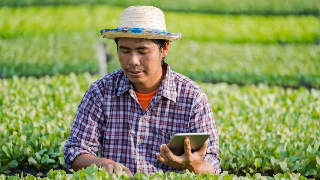 Perhatian Pemerintah Terhadap Pertanian Semakin Dirasakan Petani Milenial di Kupang