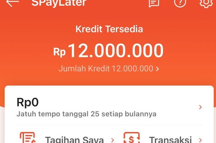 Mau Gestun Shopee PayLater? Simak Dulu Risikonya!