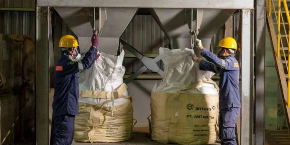 Mind Id Dukung Swasembada Energi Lewat Hilirisasi dan Proyek Strategis