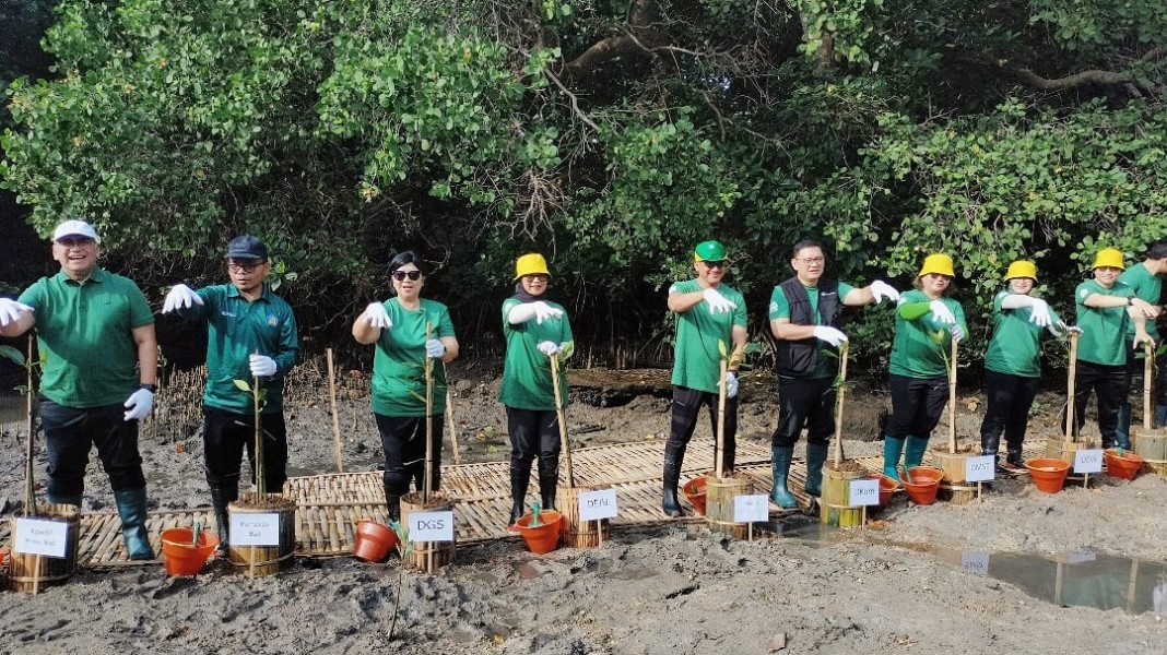 Kompensasi Emisi KKI Bank Indonesia Melalui Penanaman Mangrove Di Bali