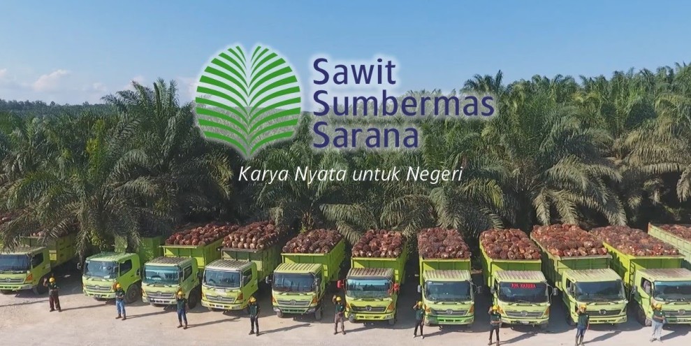 SSMS Catat Laba Bersih Rp 1,16 Triliun, Kinerja Menggembirakan 2025