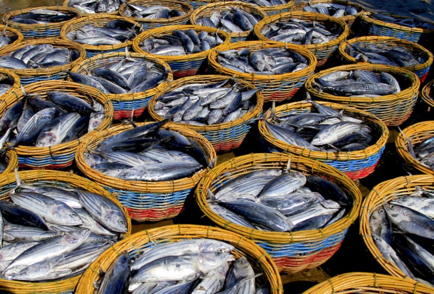 KKP Permudah Perizinan Usaha Perikanan Dukung Investasi Nasional