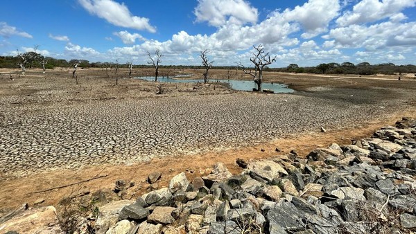 BMKG Prediksi El Nino 2026 di Jatim Diperkirakan Lemah, Kemarau Tak Sekering 2023