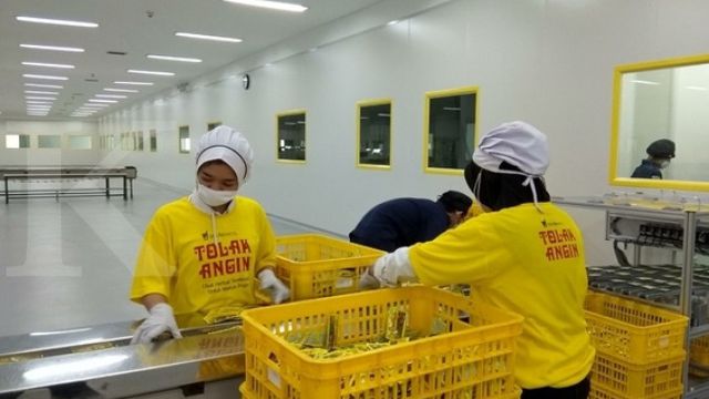 Sido Muncul Buka Lowongan Kerja Senior Programmer