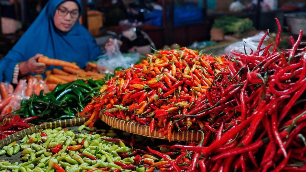Update Terbaru PIHPS Nasional: Harga Pangan Strategis Naik dan Tren Konsumsi Terpantau di Seluruh Indonesia