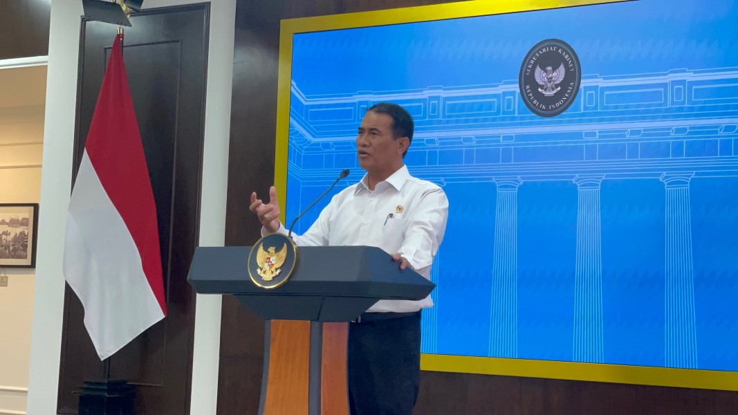 FAO Prediksi Kenaikan Produksi Beras Indonesia Terbesar Kedua Dunia