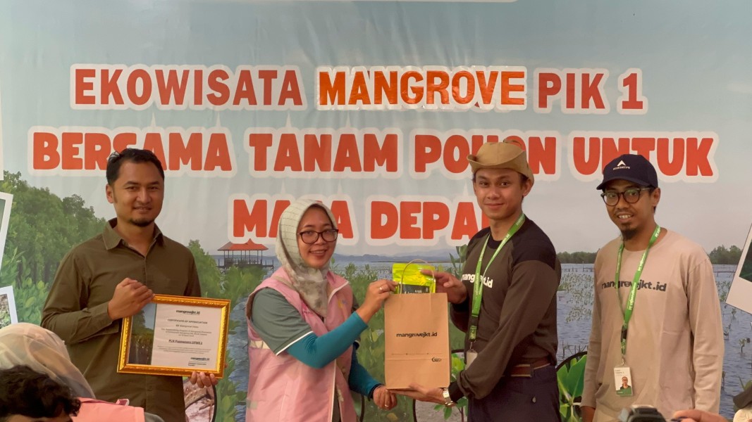 PLN Pusmanpro wujudkan kepedulian lingkungan di Hari Kartini lewat aksi tanam mangrove di PIK