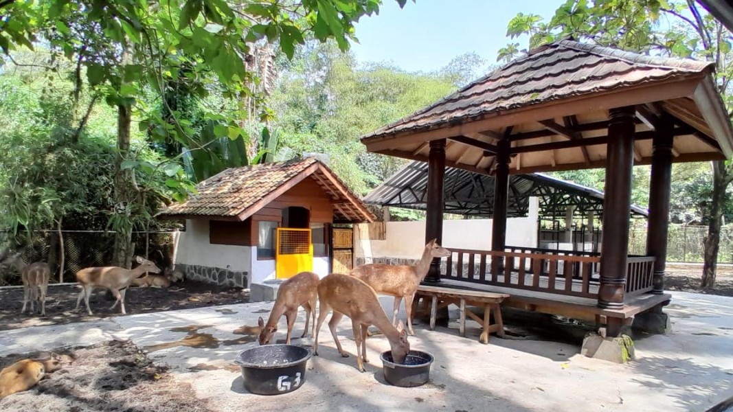 Rekomendasi Wisata Keluarga Garut Saat Libur Lebaran 2026 Paling Populer