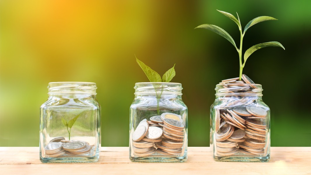 15 Pilihan Investasi Aman dan Menguntungkan Untuk Pemula