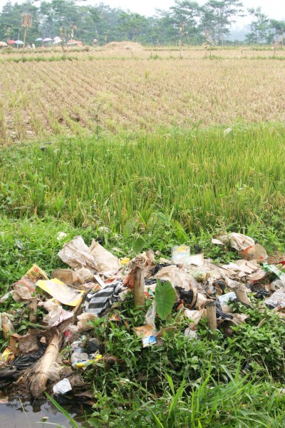 Sampah Menumpuk di Irigasi Sepanjang 500 Meter, Petani di Polman Resah: Sawah Terancam Tercemar