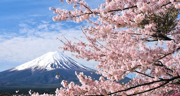 8 Budaya Jepang Terkenal dengan Makna yang Mendalam