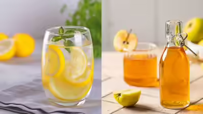 Cuka Apel atau Air Lemon, Mana Pilihan Tepat untuk Diet Efektif