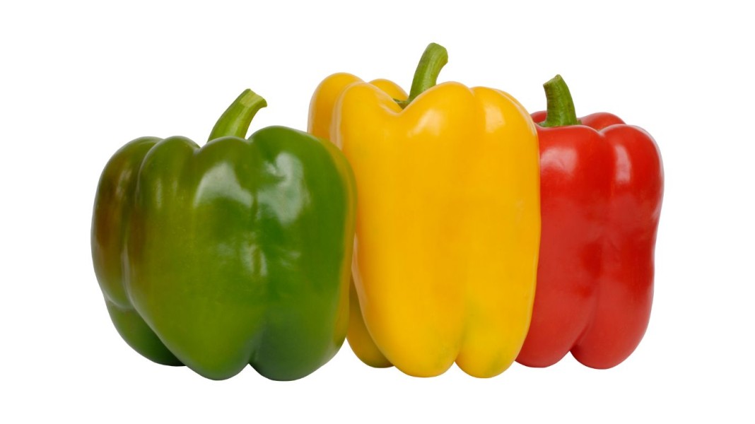 Kenali Kandungan Gizi dan Manfaat Setiap Warna Paprika untuk Diet