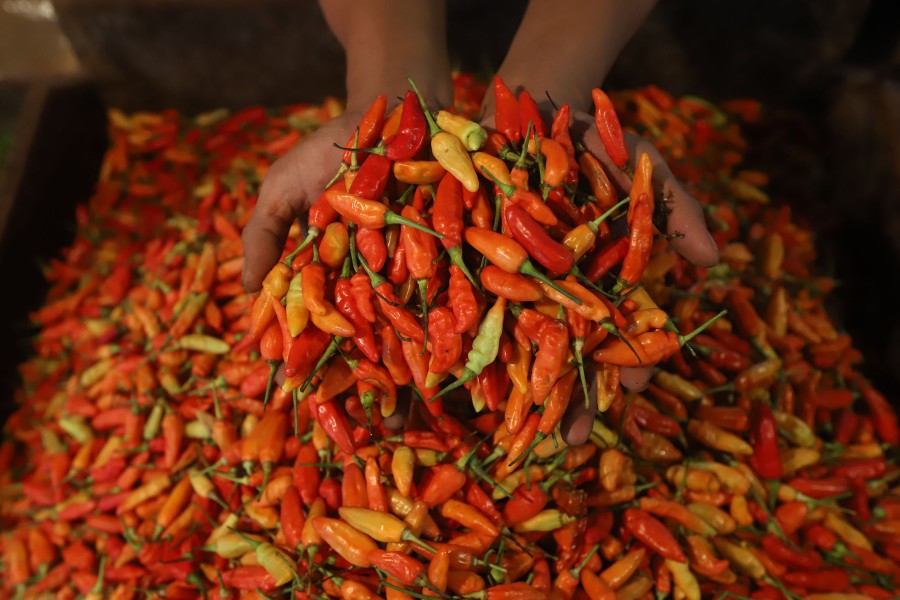 Harga Pangan Banten 28 Oktober 2025 Cabai Merah Melonjak, Minyak Goreng Turun