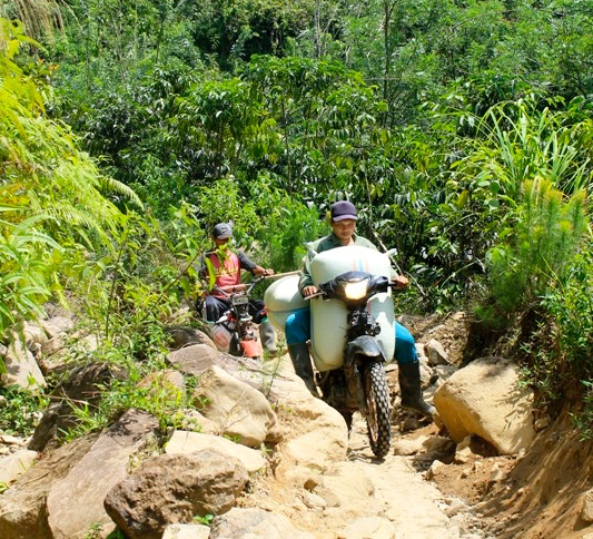 Perjuangan Tanpa Henti: Petani Kopi di Kaur Menghadapi Jalan Berlumpur dan Sungai Tanpa Jembatan