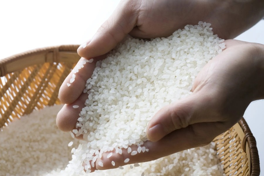 Harga Pangan 1 Oktober: Beras, Ayam, Telur Kompak Naik