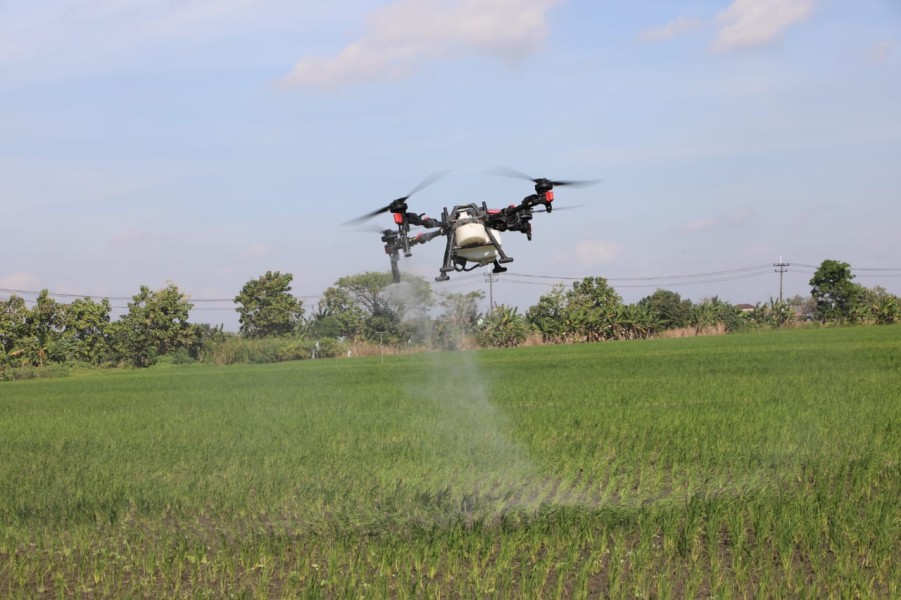 Petani Milenial Dorong Pertanian Modern dan Swasembada Pangan