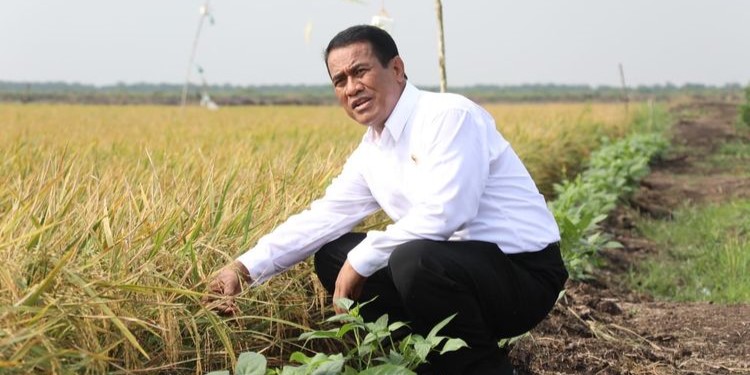 Mentan Tegaskan Swasembada Beras Berkelanjutan Dan Siap Ekspor