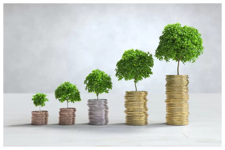 Gen Z Cerdas Finansial: Biarkan Uang Tumbuh