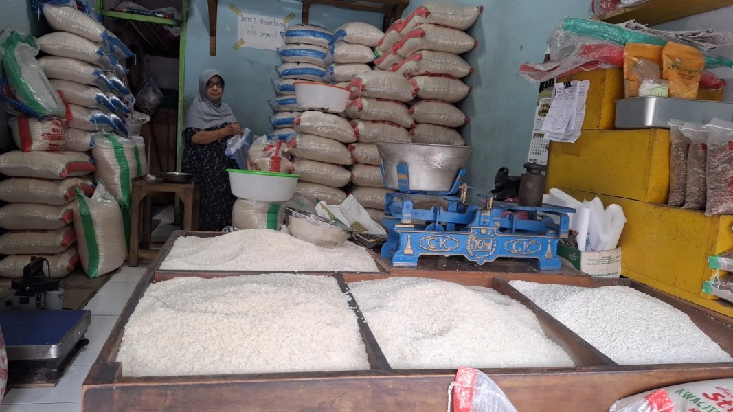 Surplus Beras Indonesia 2025 Buka Peluang Stabilisasi Harga Nasional