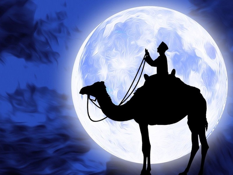 Menjemput Malam Seribu Bulan Melalui Spiritualitas Ramadan dan Kemuliaan Lailatul Qadar