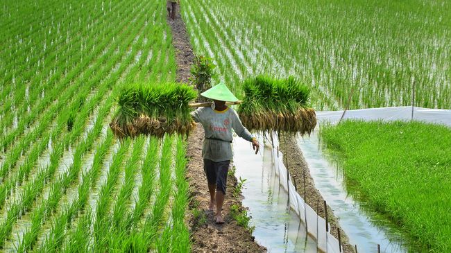 Pengertian Kegiatan Ekonomi, Jenis, Tujuan, dan Contohnya