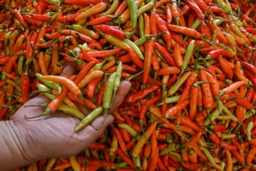 Harga Cabai Rawit Tembus Rp75.150 dan Telur Ayam Rp30.350 per Kg