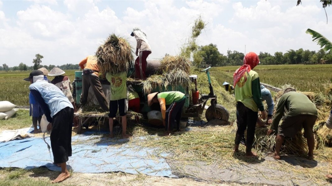 Petani Ngawi Untung 30 Persen dengan Pertanian Ramah Lingkungan, Bupati Tegaskan Fokus pada PRLB dalam Lima Tahun ke Depan
