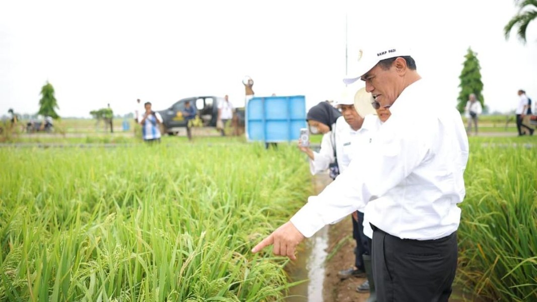Mentan Pastikan Produksi Pangan Tetap Stabil Demi Ketahanan Nasional