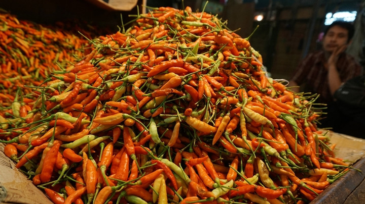 Wamendag Ungkap Penyebab Harga Cabai Naik Tajam Jelang Nataru