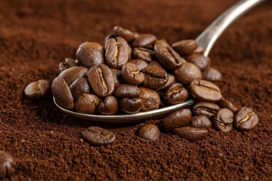 Ekspor Perdana Kopi Bubuk Lampung Buka Peluang Pasar Global