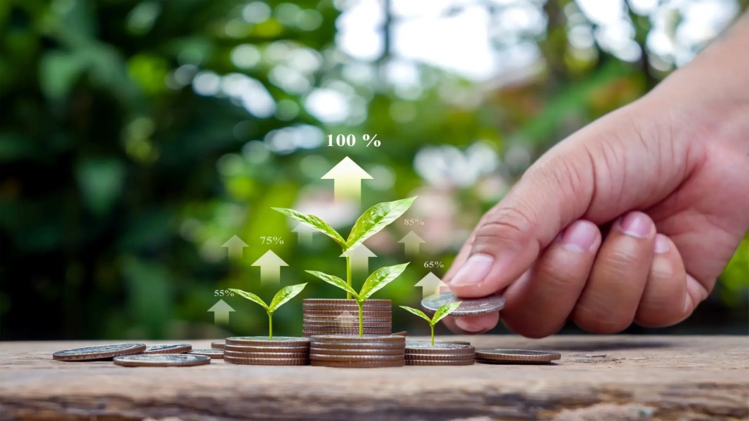 5 Pilihan Investasi Aman Cocok Pemula 2025