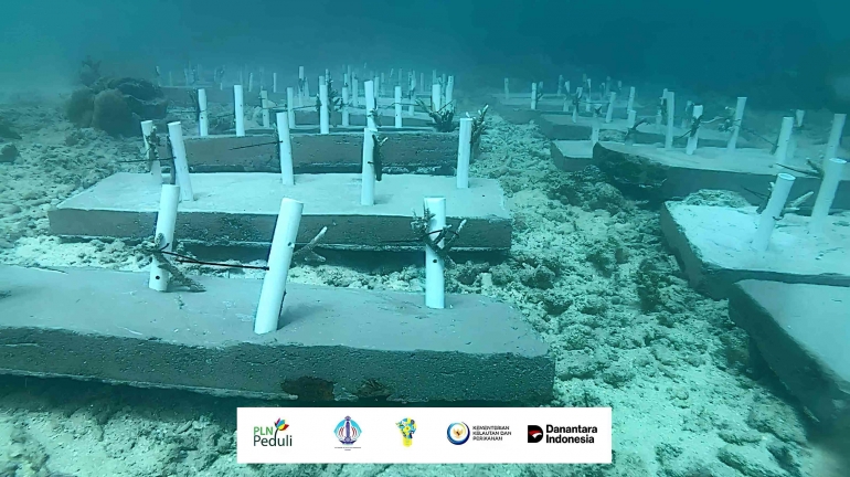 PLN UIP Nusra Koperasi Desa Merah Putih Dan GM Bapak Rizki Aftarianto Melaksanakan Program Pengembangan Wirausaha Muda Untuk Kemajuan Ekonomi Nusra