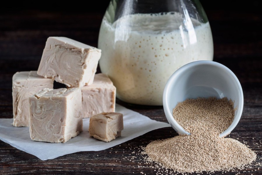 Ragi Terbuat dari Apa: Manfaat hingga Rekomendasi Hidangan