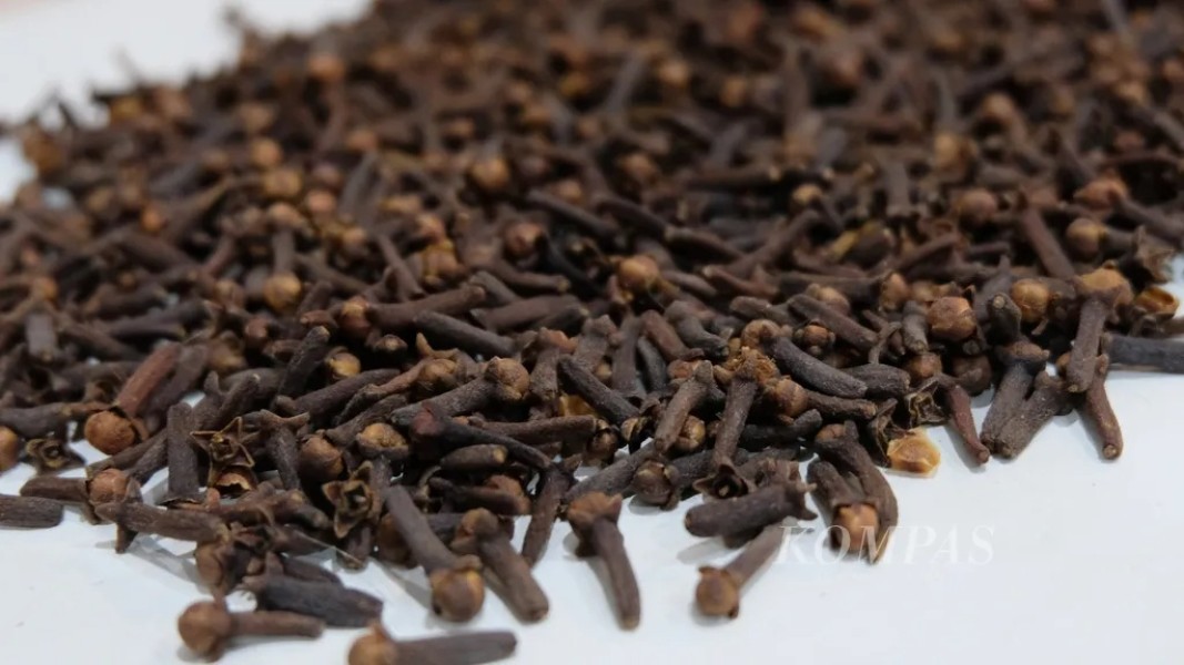 Sumbar Perkuat Industri Cengkeh dan Tembus Ke Pasar Eropa 2026