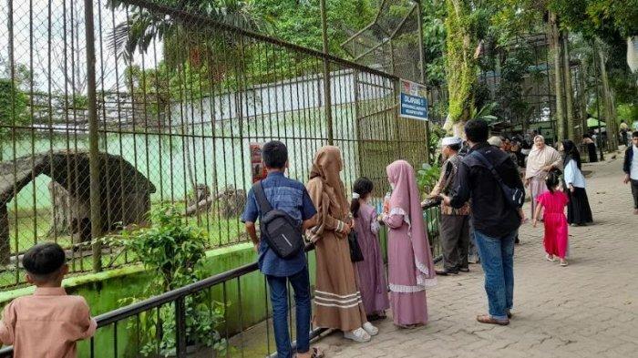 Jasaraharja Putera Perluas Perlindungan Asuransi di Taman Rimbo Zoo
