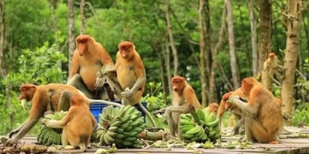 Wisata Alam Makassar dan Sekitarnya, Destinasi Berlibur Menyegarkan