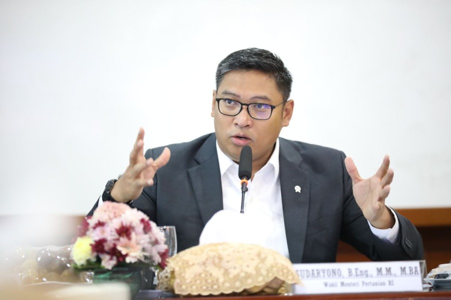 Danantara Akan Dapat Pendanaan US 10 Miliar dari Perbankan Luar Negeri