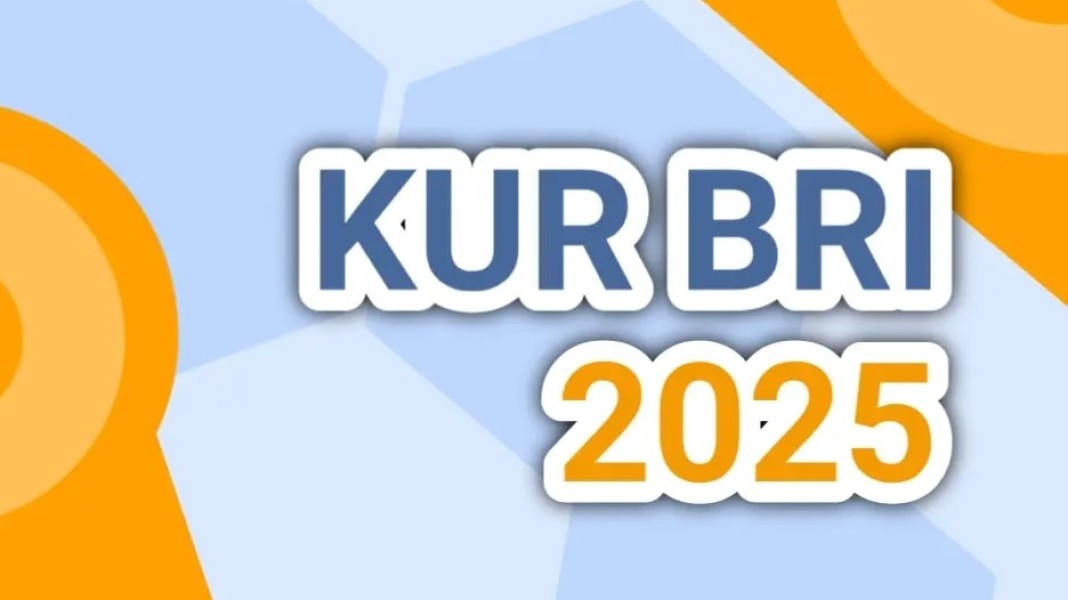 Simulasi Angsuran KUR BRI Rp 300 Juta