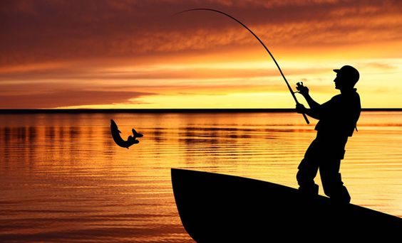 Rahasia Teknik Mancing Dasaran yang Efektif dan Mudah Dipraktikkan Pemula
