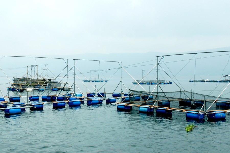 Inovasi Teknologi Perikanan LARITA dan Crab Drum Dorong Produktivitas Nelayan