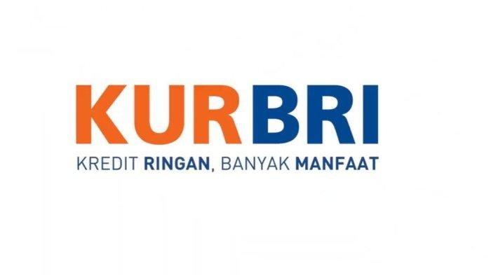 KUR BRI 2025 Percepat Pertumbuhan UMKM
