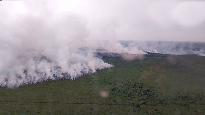 Lonjakan Ratusan Titik Panas Riau Menuntut Kesiagaan Penuh Terhadap Ancaman Karhutla